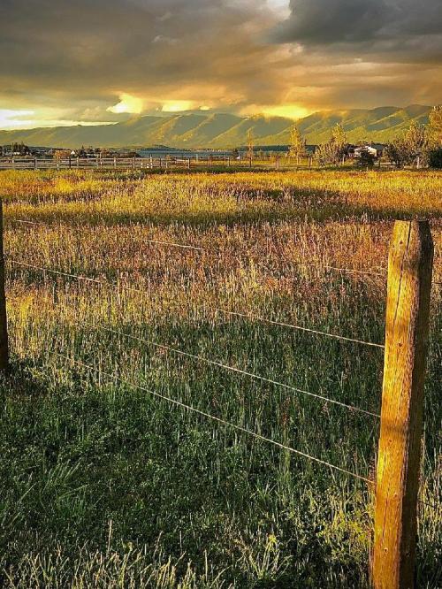 18:58:59 GMT-0700 (MST)