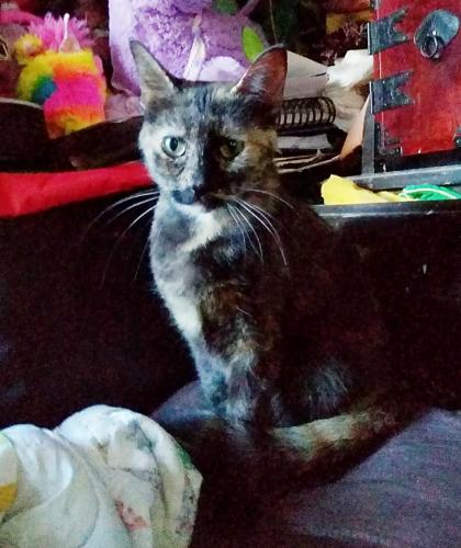 12:19:33 GMT-0600 (CST)