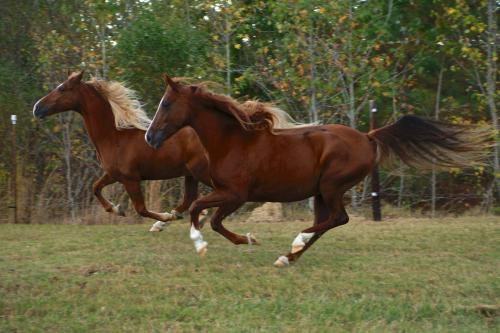 14691360_10207574929357241_5322416330653088730_o