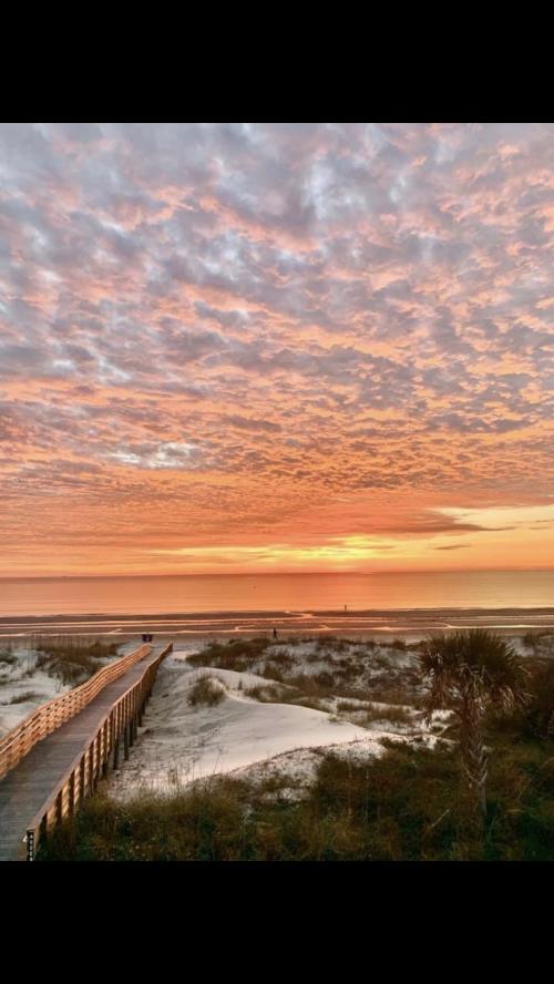 14:19:34 GMT-0500 (EST).image