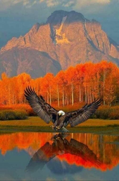 19:26:45 GMT-0600 (CST).image