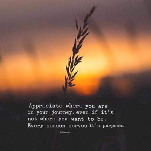 18:19:48 GMT-0600 (CST)