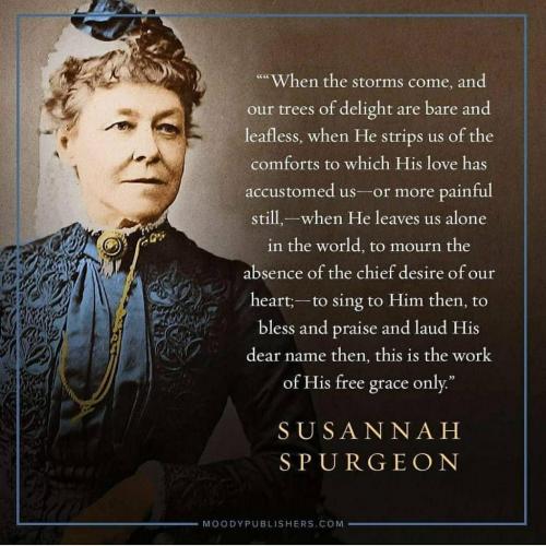 2018-08-28 23.36.27 1856376854832121778_5403409862