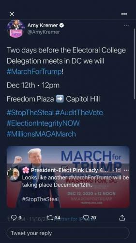 stop the steal march on electoral college day