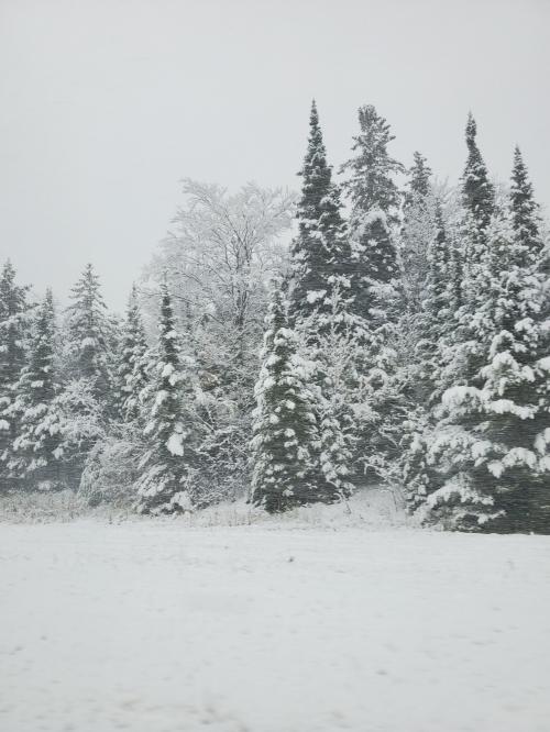 09:42:40 GMT-0600 (CST)