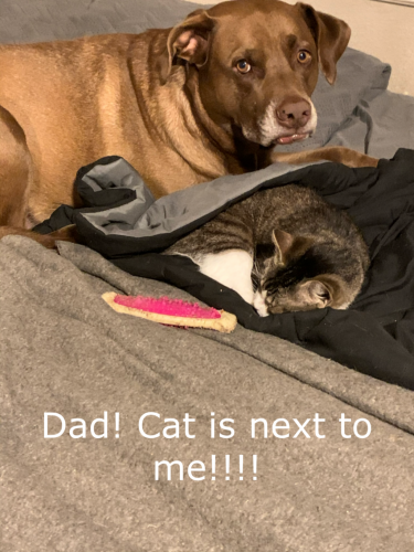 02:32:16 GMT-0600 (CST).image