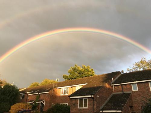 464e83fd-4031-4ea1-9ad2-f15a2ffcd70d