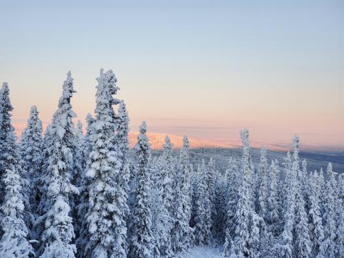 08:29:28 GMT-0900 (AKST)