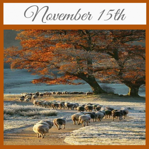 07:04:41 GMT-0600 (CST)