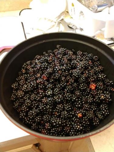 19:46:23 GMT-0700 (MST)