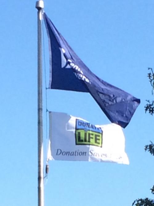 12:01:57 GMT-0600 (CST).image