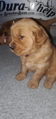 15:14:33 GMT-0500 (EST)