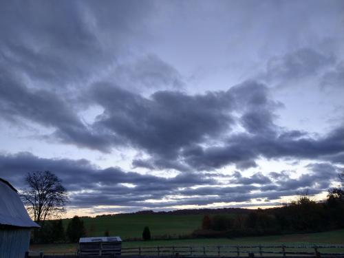 11:50:36 GMT-0500 (EST)