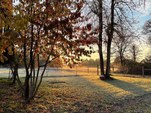 124621896_10223372908688894_8027762952265375018_o