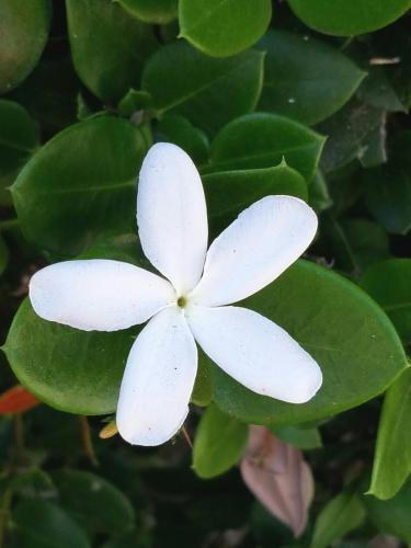 15:38:28 GMT-0800 (PST)