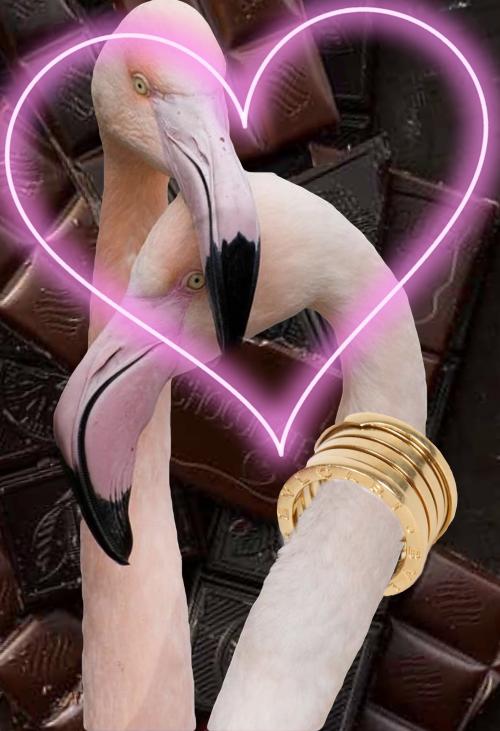 CECDB0D2-337A-4D0B-8E6C-DA251AA76BA8