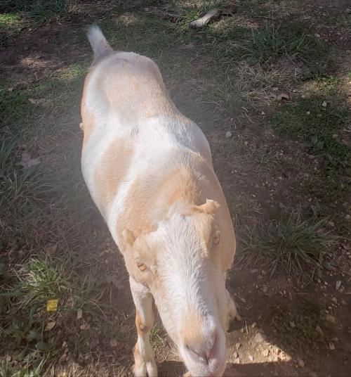 18:47:40 GMT-0600 (CST)