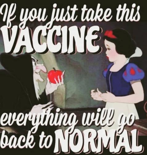 126146938_10159053354078060_5752106260298836440_o