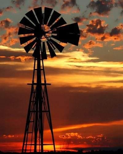 127114278_1319670248383090_5215994608815211873_n