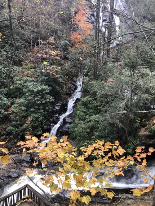 0BD51E36-2630-43F9-8BCA-FDEBDB22CDF4