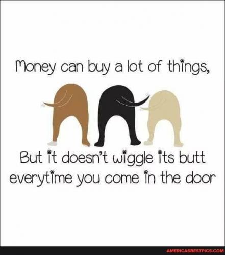 22:21:01 GMT-0600 (CST).image