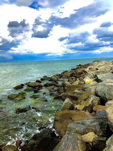 10:46:33 GMT-0500 (EST).image