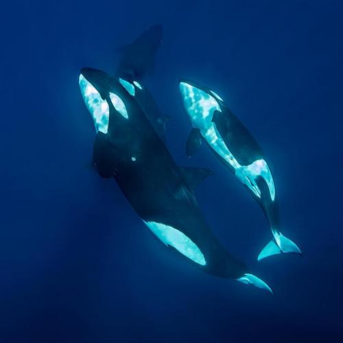 124252512_210985930466307_5764566883848929802_o