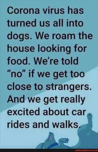 06:11:04 GMT-0600 (CST).image