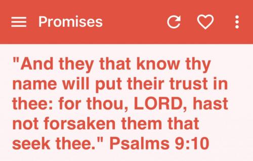 D18915CB-F76F-43DD-AFE4-922067D671F7