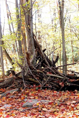 13:32:08 GMT-0500 (EST).image