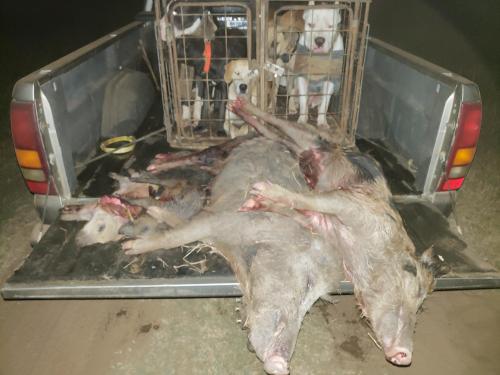 02:29:46 GMT-0600 (CST)