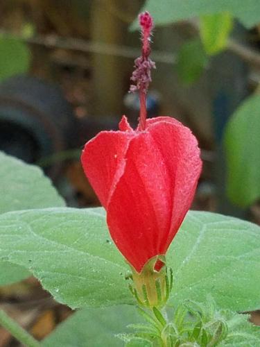 15:30:07 GMT-0800 (PST)