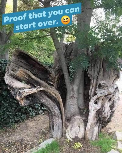 16:57:04 GMT-0500 (EST)