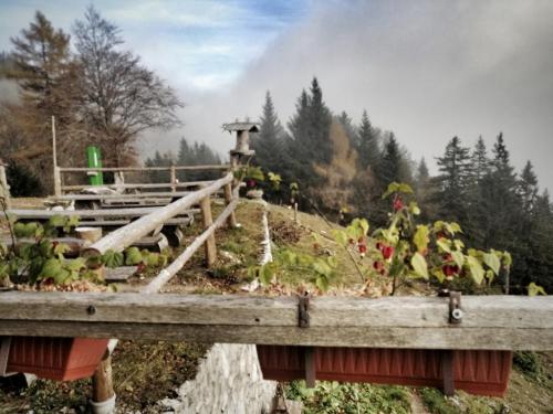 09:22:30 GMT+0100 (CET)