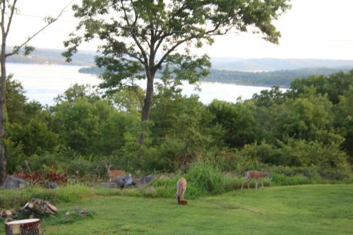 09:51:03 GMT-0600 (CST)