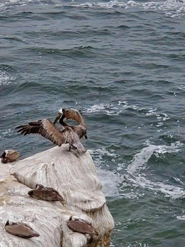 15:54:41 GMT-0800 (PST)