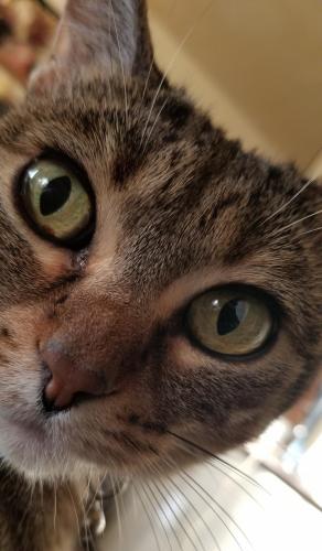 23:43:27 GMT-0600 (CST)