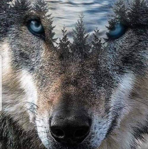 15:22:44 GMT-0600 (CST)