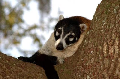 facebook_1601811366865_6718483823290899473_326414725373389