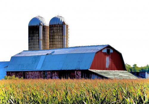 12:55:03 GMT-0500 (EST).image