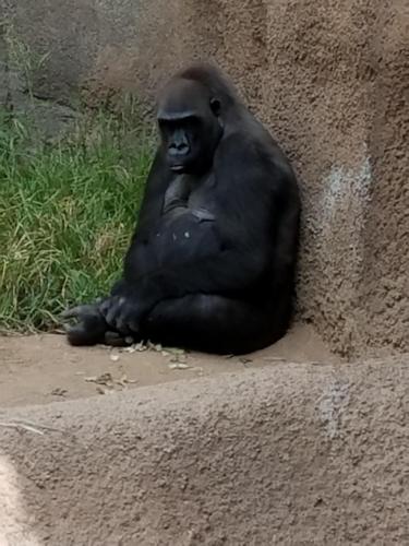 15:30:07 GMT-0800 (PST)