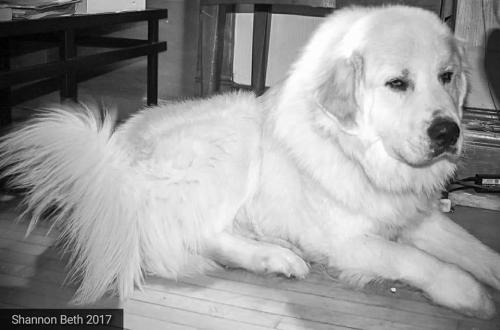 16:23:56 GMT-0600 (CST)