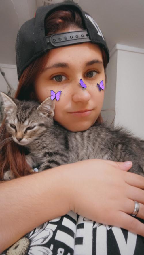 20:20:11 GMT-0600 (CST).image