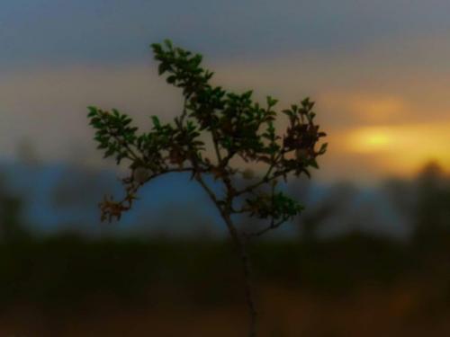 15:01:51 GMT-0800 (PST)