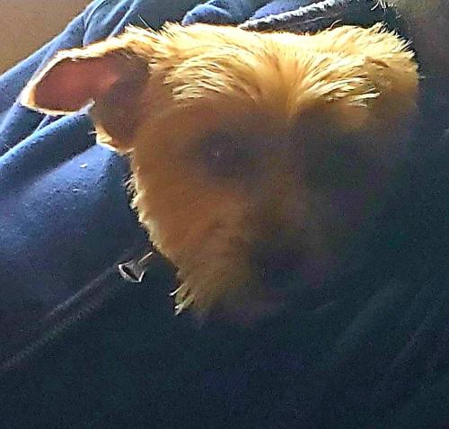 16:36:47 GMT-0800 (PST)