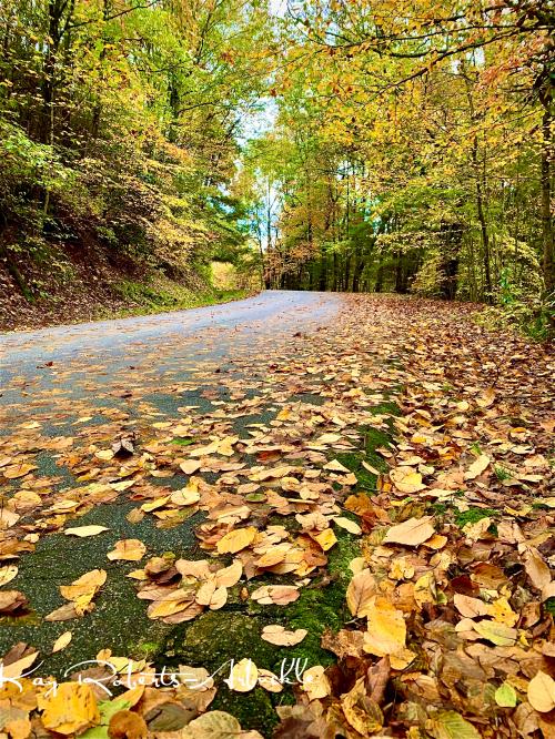 06:15:49 GMT-0500 (EST).image