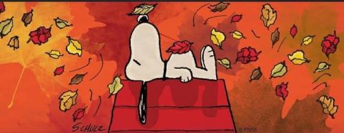 21:26:43 GMT-0700 (MST).image