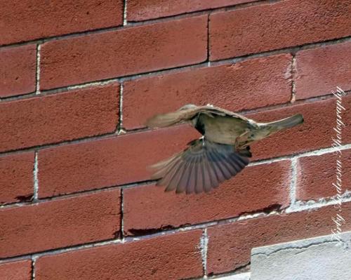 09:51:03 GMT-0600 (CST)