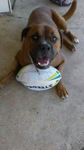 12:56:29 GMT+1100 (AEDT)