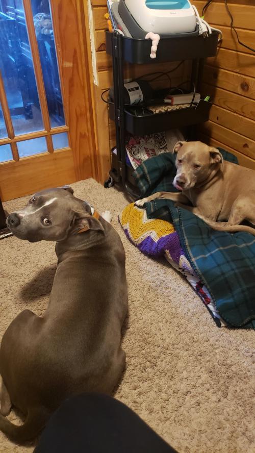 16:41:32 GMT-0600 (CST)